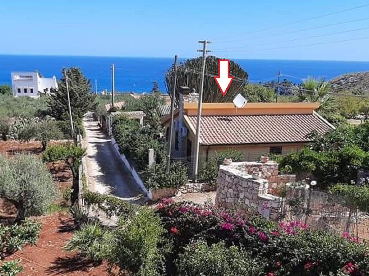 Villino Dei Gabbiani Villa Castellammare del Golfo Eksteriør billede